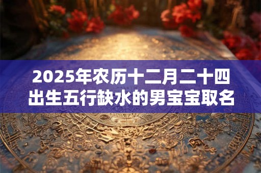 2026年农历十二月二十四出生五行缺水的男宝宝取名字