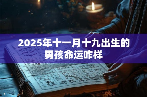 2025年十一月十九出生的男孩命运咋样