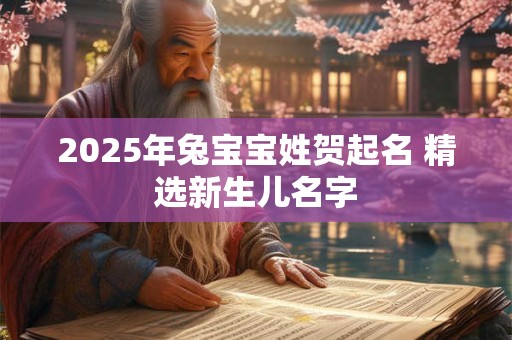 2025年兔宝宝姓贺起名 精选新生儿名字