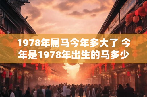 1978年属马今年多大了 今年是1978年出生的马多少岁