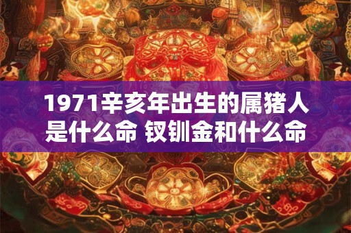 1971辛亥年出生的属猪人是什么命 钗钏金和什么命最配