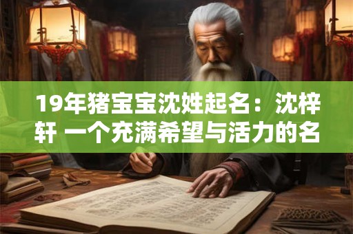 19年猪宝宝沈姓起名：沈梓轩 一个充满希望与活力的名字