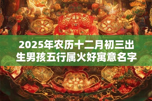 2025年农历十二月初三出生男孩五行属火好寓意名字