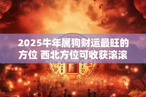 2025牛年属狗财运最旺的方位 西北方位可收获滚滚财源