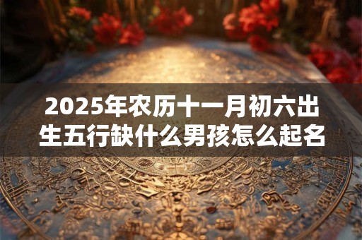 2025年农历十一月初六出生五行缺什么男孩怎么起名？