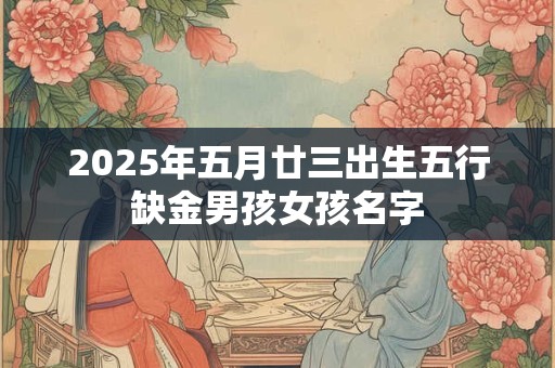 2025年五月廿三出生五行缺金男孩女孩名字
