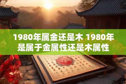 1980年属金还是木 1980年是属于金属性还是木属性