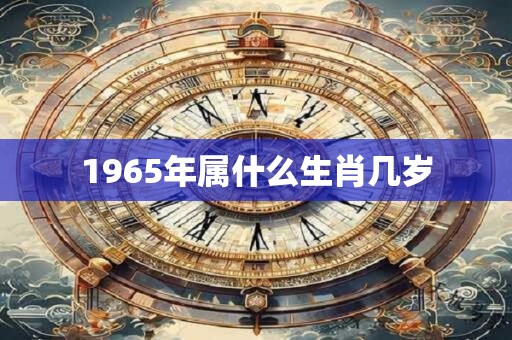 1965年属什么生肖几岁