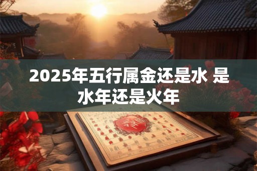 2025年五行属金还是水 是水年还是火年