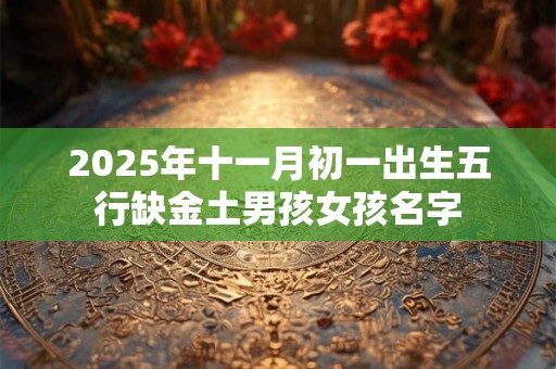 2025年十一月初一出生五行缺金土男孩女孩名字
