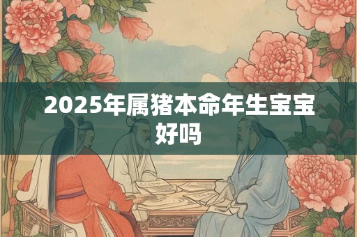 2025年属猪本命年生宝宝好吗