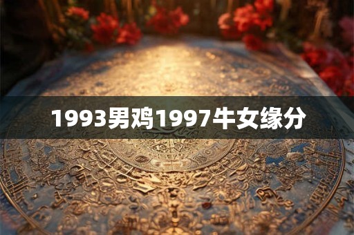 1993男鸡1997牛女缘分