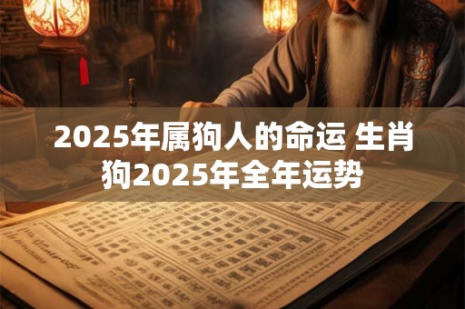 2025年属狗人的命运 生肖狗2025年全年运势