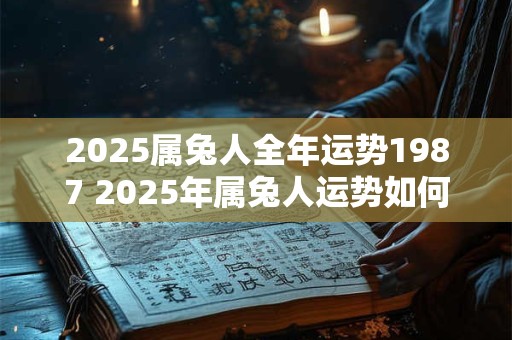 2025属兔人全年运势1987 2025年属兔人运势如何
