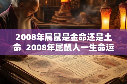 2008年属鼠是金命还是土命  2008年属鼠人一生命运