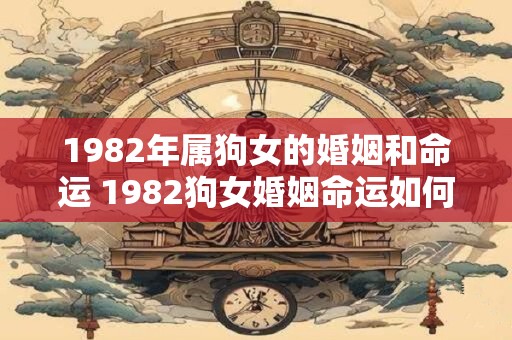 1982年属狗女的婚姻和命运 1982狗女婚姻命运如何
