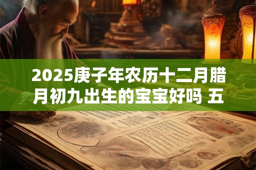 2025庚子年农历十二月腊月初九出生的宝宝好吗 五行八字查询