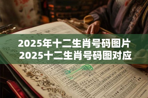 2025年十二生肖号码图片 2025十二生肖号码图对应的动物是什么