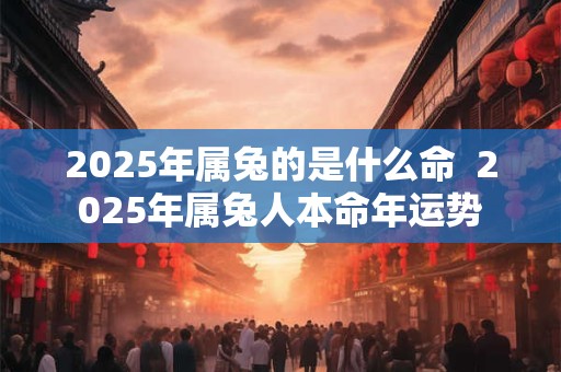 2025年属兔的是什么命  2025年属兔人本命年运势