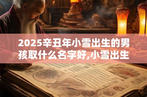 2025辛丑年小雪出生的男孩取什么名字好,小雪出生的男宝宝名字