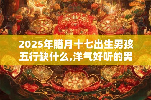 2025年腊月十七出生男孩五行缺什么,洋气好听的男孩名字