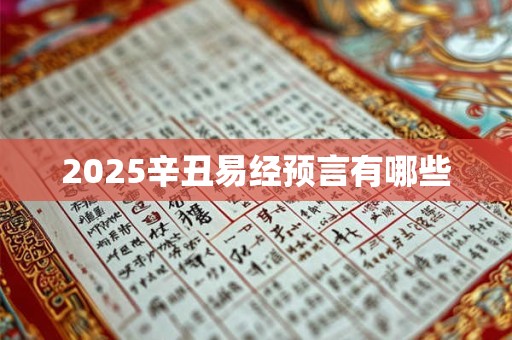 2025辛丑易经预言有哪些