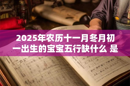 2026年农历十一月冬月初一出生的宝宝五行缺什么 是什么命