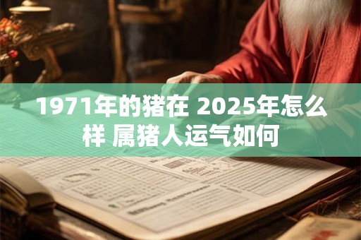 1971年的猪在 2025年怎么样 属猪人运气如何