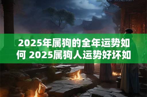 2025年属狗的全年运势如何 2025属狗人运势好坏如何