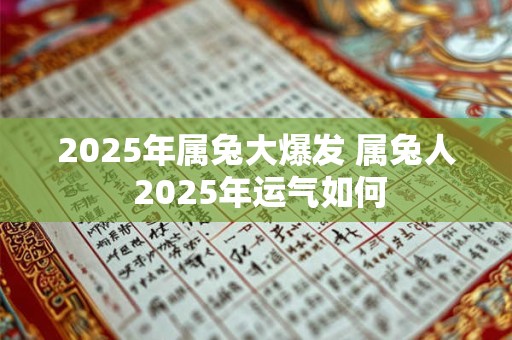 2025年属兔大爆发 属兔人 2025年运气如何 2025年属兔大爆发 属兔人 2025年运气如何
