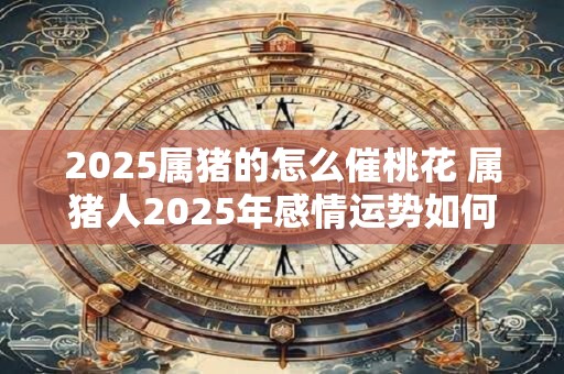 2025属猪的怎么催桃花 属猪人2025年感情运势如何