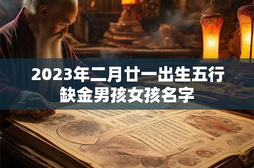 2023年二月廿一出生五行缺金男孩女孩名字
