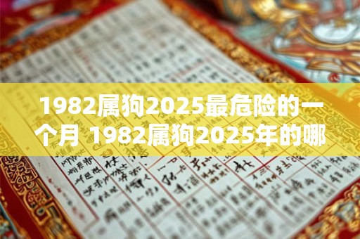 1982属狗2025最危险的一个月 1982属狗2025年的哪个月最危险
