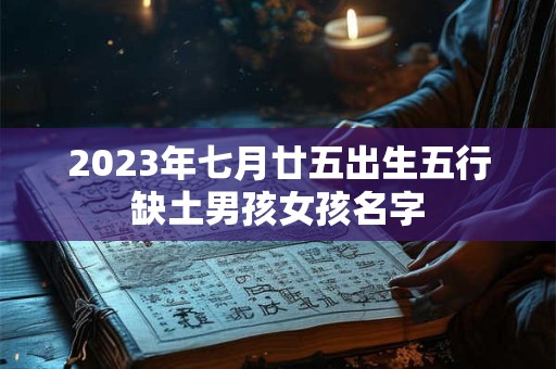 2023年七月廿五出生五行缺土男孩女孩名字