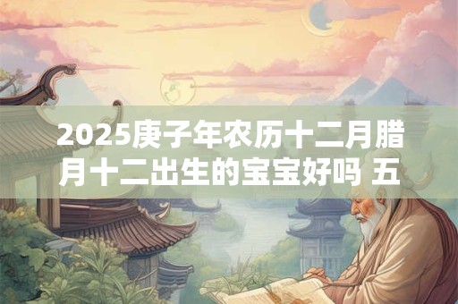 2025庚子年农历十二月腊月十二出生的宝宝好吗 五行八字查询