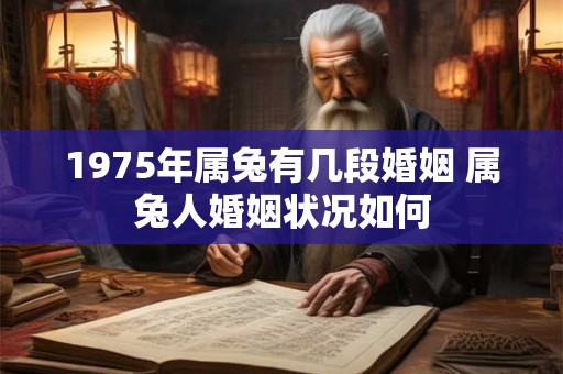 1975年属兔有几段婚姻 属兔人婚姻状况如何