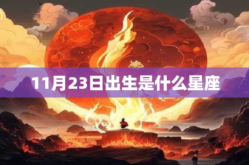 11月23日出生是什么星座