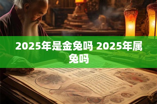 2025年是金兔吗 2025年属兔吗