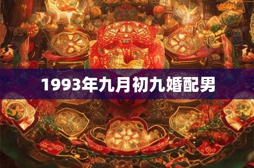 1993年九月初九婚配男