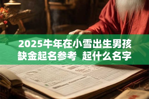 2025牛年在小雪出生男孩缺金起名参考  起什么名字最好