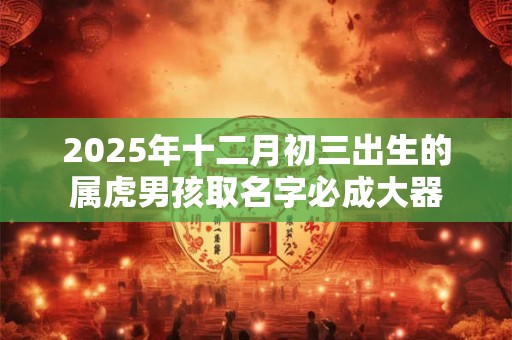 2026年十二月初三出生的属虎男孩取名字必成大器