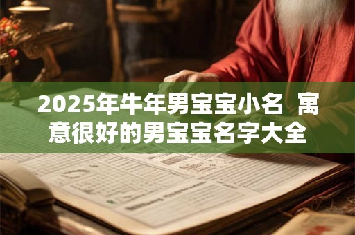 2025年牛年男宝宝小名  寓意很好的男宝宝名字大全