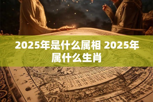 2025年是什么属相 2025年属什么生肖