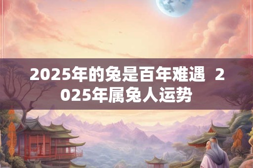 2025年的兔是百年难遇  2025年属兔人运势