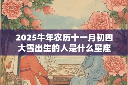 2025牛年农历十一月初四大雪出生的人是什么星座