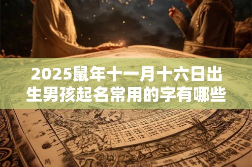 2026鼠年十一月十六日出生男孩起名常用的字有哪些？