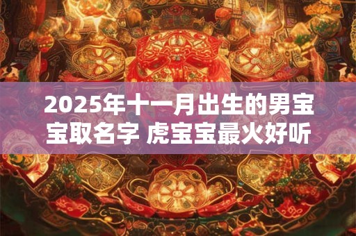 2025年十一月出生的男宝宝取名字 虎宝宝最火好听名字