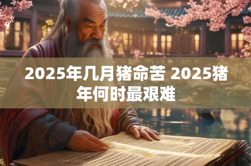 2025年几月猪命苦 2025猪年何时最艰难