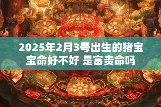 2026年2月3号出生的猪宝宝命好不好 是富贵命吗