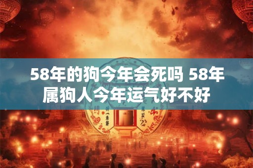 58年的狗今年会死吗 58年属狗人今年运气好不好